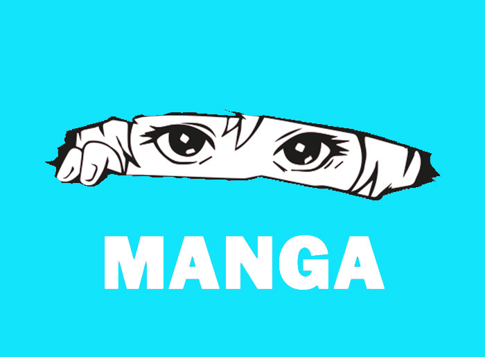 BD Manga stage