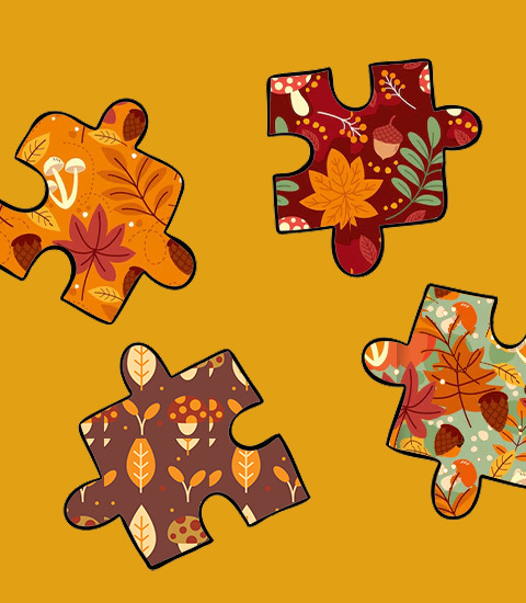 [ENFANTS] Défi puzzle 