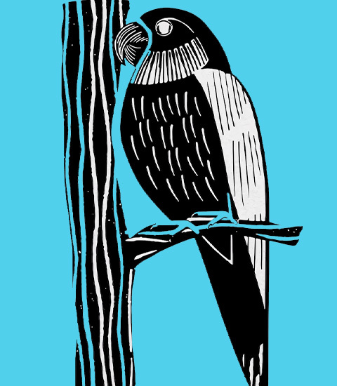 [ADULTES] Linogravure