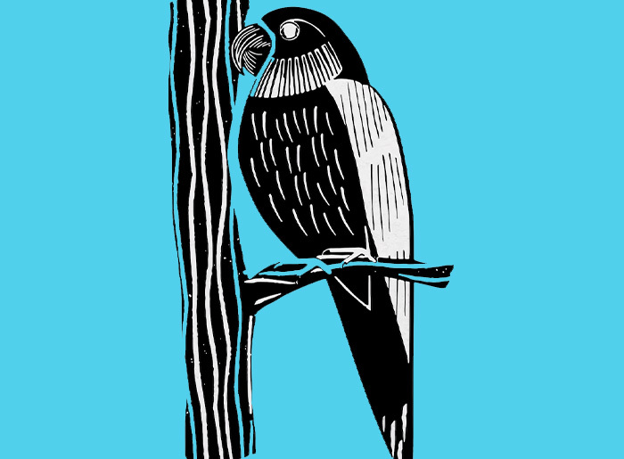 [ADULTES] Linogravure