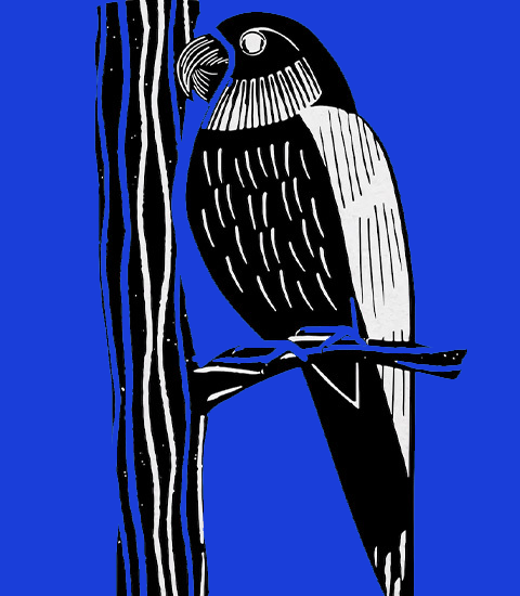 Linogravure NOUVEAU 