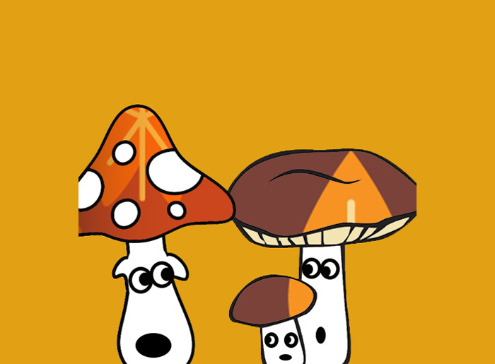 [ENFANTS] Balade en forêt 