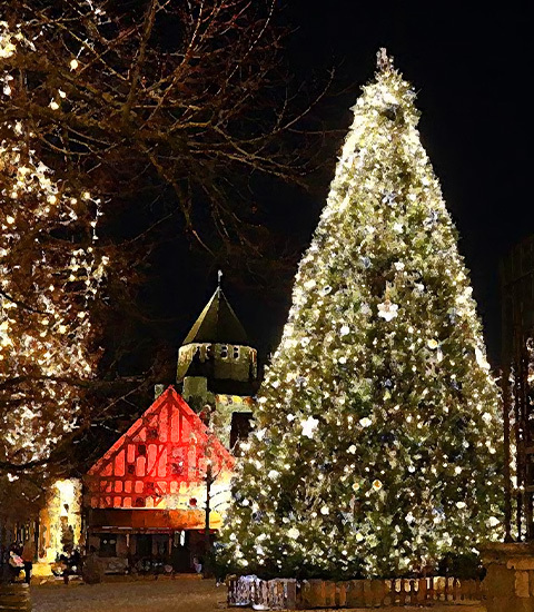 Sortie famille au marché de noël médiéval de Provins