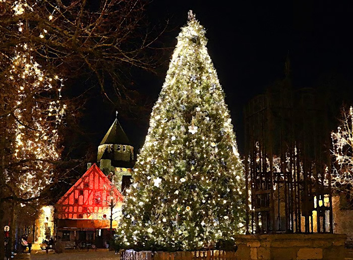 Sortie famille au marché de noël médiéval de Provins